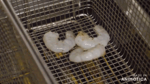 shrimp are being cooked in a fryer with the words made in animatica on the bottom