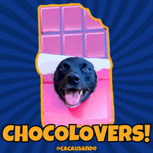 Cacausando Cacauecookie GIF - Cacausando Cacauecookie Chocolate GIFs