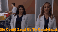 greys anatomy teddy altman he could lead us to candyland candyland kim raver