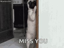 I Miss You Funny GIFs | Tenor