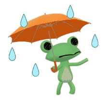 frog rain