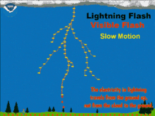 Lightning Lightning Facts GIF