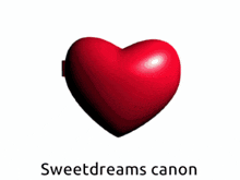 a heart shaped pillow with the words sweetdreams canon on it