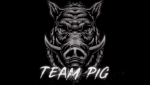 Team Pig GIF - Team Pig GIFs