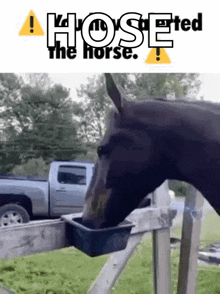 You Have Alerted The Horse Horse GIF