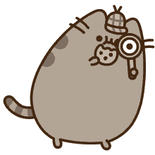 fat cat sherlock cute adorable