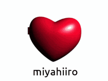 two heart shaped mirrors with miyahiro written on the bottom right