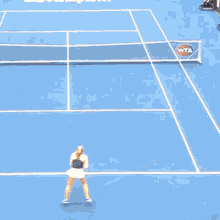 Ekaterina Alexandrova Tennis GIF - Ekaterina Alexandrova Tennis Wta GIFs