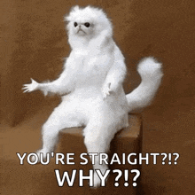 a white cat is sitting on a box and saying `` you 're straight ? why ? '' .