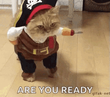 Lets Go Are You Ready GIF - Lets Go Are You Ready Cat GIFs