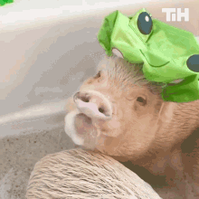 Piglet Pig With A Shower Cap GIF - Piglet Pig With A Shower Cap Cute Pig GIFs