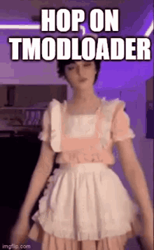 Femboy Tmodloader GIF - Femboy Tmodloader GIFs
