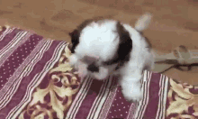 Tampo Na Si Pearl The Real Paningning GIF - Tampo Na Si Pearl The Real Paningning Paningning GIFs