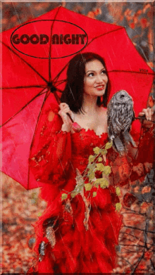 a woman in a red dress is holding a red umbrella and an owl with the words good night above her