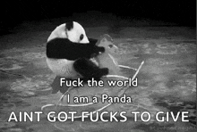 Chinese Panda GIF - Chinese Panda Screwit GIFs