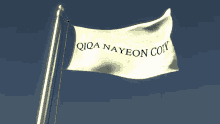 Nayeon Qiqaandrv GIF - Nayeon Qiqaandrv Qiqanay GIFs