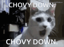 Chovy Down GIF - Chovy Down Chovydown GIFs