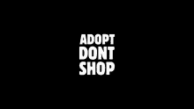 Adopt Dont Shop GIF - Adopt Dont Shop GIFs