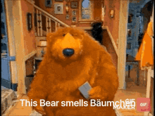 Bear Smell GIF - Bear Smell Baum GIFs