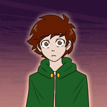 a boy with brown hair and a green hoodie