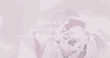 For My Kidz Troye Sivan GIF - For My Kidz Troye Sivan Bloom GIFs