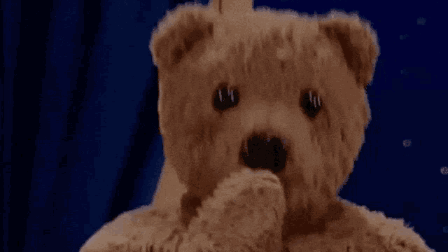 Jaaj Nounours GIF - Jaaj Nounours Bonne Nuit Les Tipeu - Discover & Share  GIFs