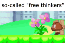 Free Thinkers Goomba GIF - Free Thinkers Goomba Jump GIFs