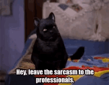 Sarcasm Salem The Cat GIF
