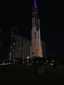 a couple sits on the grass in front of a tall building lit up at night