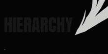 a black and white image with the word hierarchy in white letters