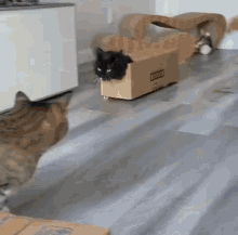 GIF
