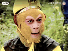 a man in a monkey costume with chinese writing on the bottom right