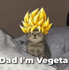 a picture of a cat with a wig on its head that says dad i 'm vegeta