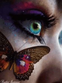 amazing art eyes butterfly
