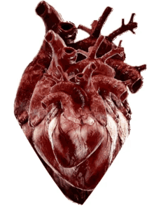 corazon heart
