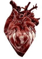 Corazon Heart Sticker - Corazon Heart Stickers