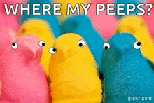 a group of peeps with googly eyes are standing next to each other with the words `` where my peeps ? ''