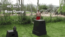 40inch Box Jump Tim Mc Gaffin GIF