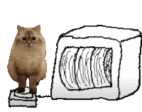 a cat standing next to a drawing of a microwave oven