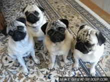 Puppy Dogs GIF - Puppy Dogs Headtilt GIFs