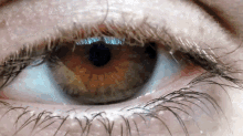 Eye Andreu Ballus GIF - Eye Andreu Ballus Guapo GIFs
