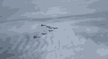 Indian Air Force Aircraft GIF - Indian Air Force Aircraft Formation GIFs