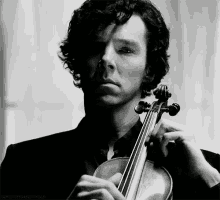 violon violin