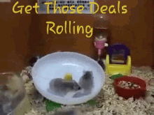 Get Those Deals GIF - Get Those Deals Rolling Going GIFs