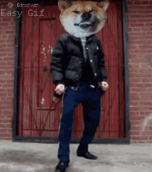 Dogecoin Celebrate GIF - Dogecoin Celebrate Dance GIFs