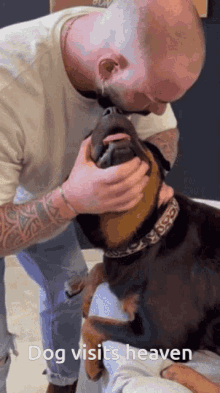Dog Chiropractor GIF