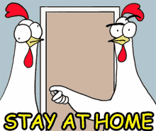 Chicken Chicken Bro GIF - Chicken Chicken Bro Stay At Home GIFs