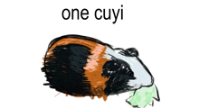 a drawing of a guinea pig with the words one cuyi written below it