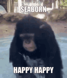 Seaborn Monkey GIF - Seaborn Monkey Happy GIFs