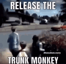 Truck Truck Monkey GIF